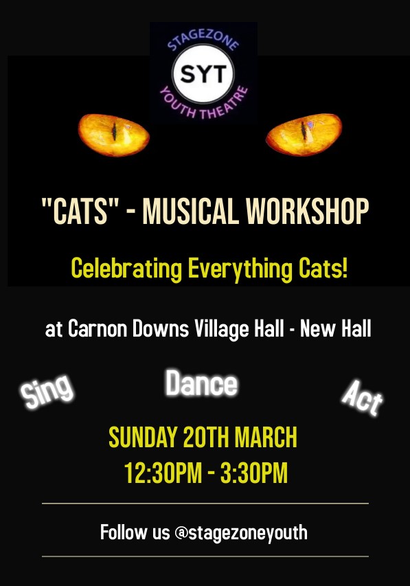 Stagezone Youth Theatre Cats Workshop poster