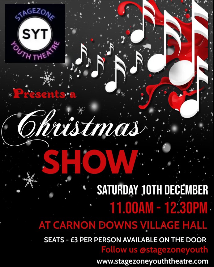 Stagezone Youth Theatre Christmas Show poster